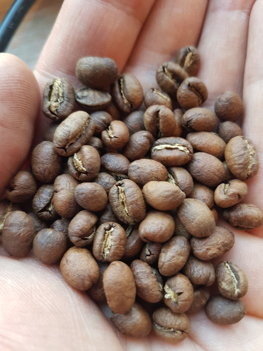 Peaberry coffee...the forbidden fruit?